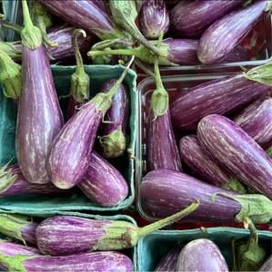 Meet your Posher, Teri